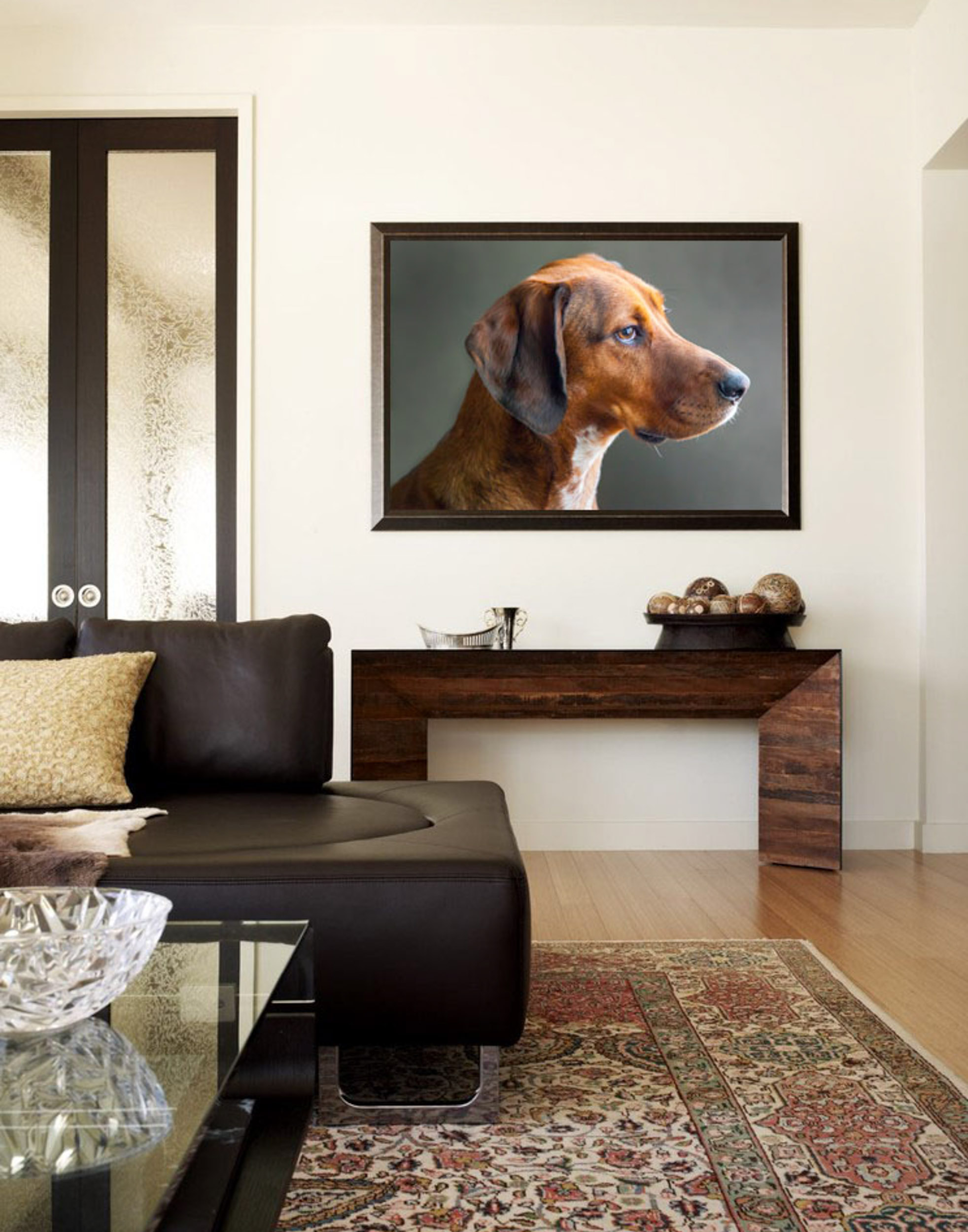 Lab Mix Dog Photograph